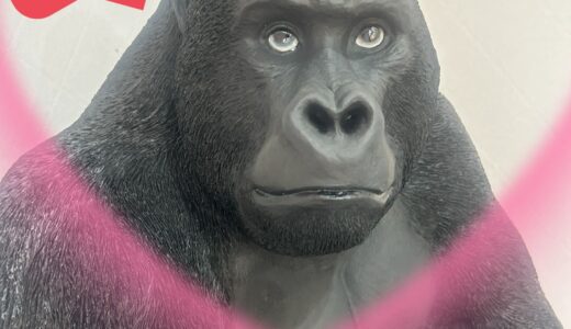 東京暮らしを始めて…
