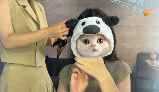 CHAT CUBE  salon  ★